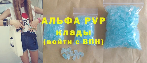 стафф Алексин