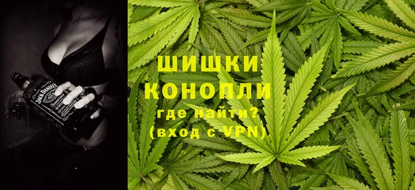apvp Алзамай