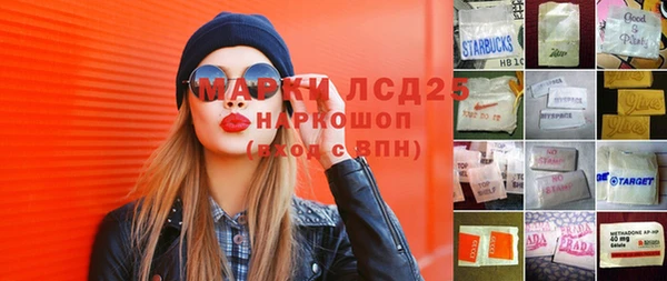 apvp Алзамай